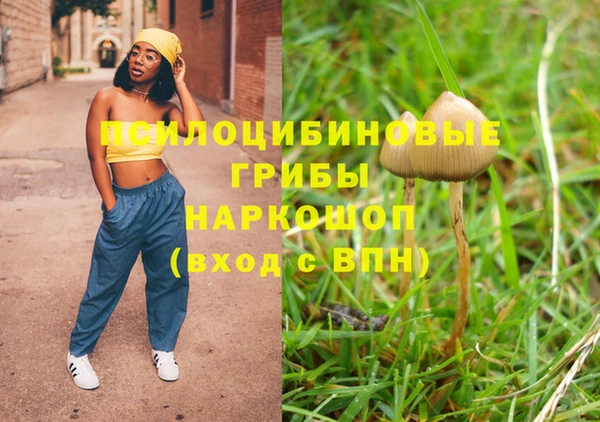 не бодяженный Апатиты