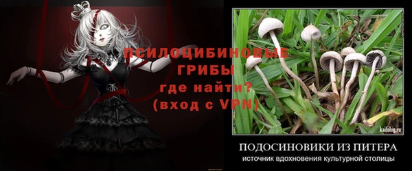соль курить ск Бородино