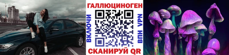 Галлюциногенные грибы MAGIC MUSHROOMS Осташков